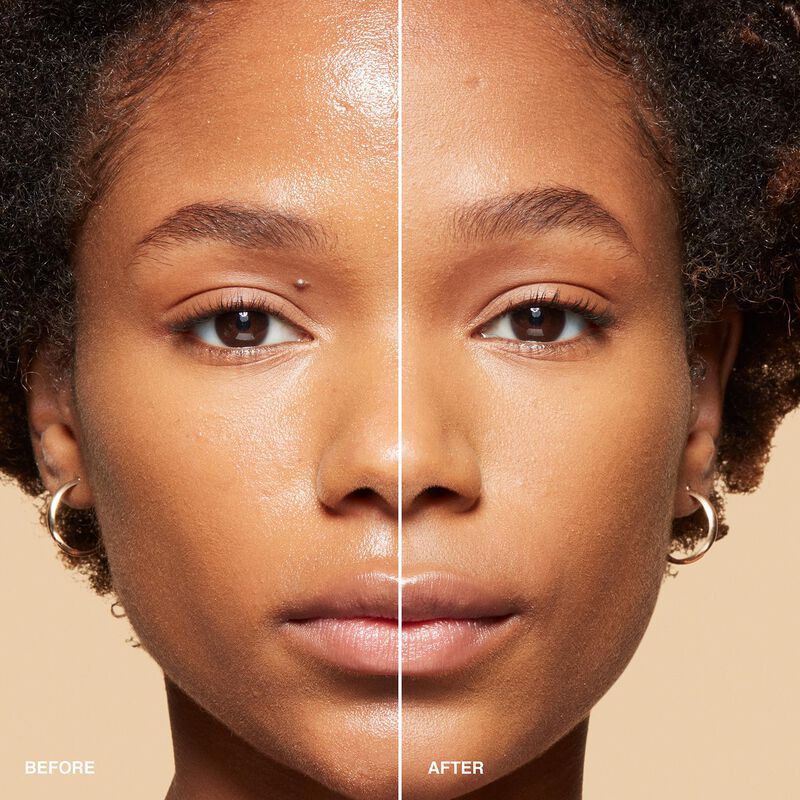 Bobbi Brown Sheer Finish Pressed Powder image number 10